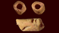 La Prele bone bead showing polished ends (upper) and side view with incisions (lower). Image credit: Surovell et al., doi: 10.1038/s41598-024-53390-9.