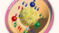 A proton’s valence quarks (blue, red, and green), quark-antiquark pairs, and gluons (springs); scalar gluon activity (pink) extends beyond the electric charge radius (orange) that surrounds the gluonic energy core (yellow). Image credit: Argonne National Laboratory.