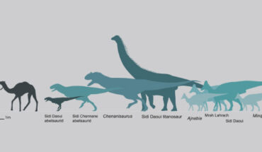 Late Maastrichtian dinosaurs of the latest Cretaceous Phosphates of Morocco. Image credit: Longrich et al., doi: 10.1038/s41598-024-53447-9.
