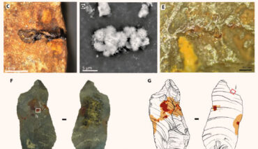 Photographs, drawings, and details of stone tools from Le Moustier, France. Image credit: D. Greinert / Schmidt et al., doi: 10.1126/sciadv.adl0822.