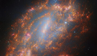 This Webb image shows NGC 1559, a barred spiral galaxy some 32 million light-years away in the constellation of Reticulum. Image credit: NASA / ESA / CSA / Webb / A. Leroy / J. Lee / PHANGS Team.