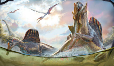 Doing what they do better than any animal that ever evolved, a pair of Spinosaurus aegyptiacus wade into nearshore waters for prey as pterosaurs soar overhead some 95 million years ago on the northern coast of Africa. Image credit: Daniel Navarro.