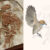 The fossil skeleton of Imparavis attenboroughi and a reconstruction of the bird. Image credit: Ville Sinkkonen / Wang et al., doi: 10.1016/j.cretres.2024.105867.