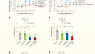 GluK2 KO mice are defective in cold sensing. Image credit: Cai et al., 10.1038/s41593-024-01585-8.