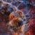 This DECam image shows the Vela supernova remnant, a remnant of supernova explosion located 800 light-years away in the southern constellation of Vela. Image credit: CTIO / NOIRLab / DOE / NSF / AURA / T.A. Rector, University of Alaska Anchorage & NSF’s NOIRLab / M. Zamani & D. de Martin, NSF’s NOIRLab.