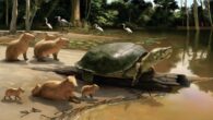 Life reconstruction of Peltocephalus maturin. Image credit: Júlia d‘Oliveira.