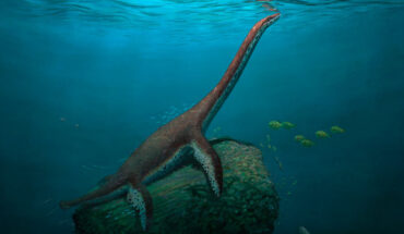 Life reconstruction of Franconiasaurus brevispinus. Image credit: Joschua Knüppe.