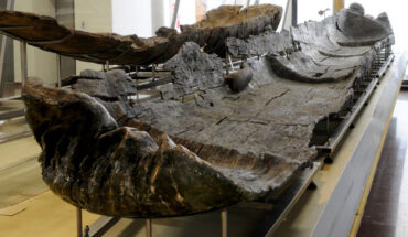 The 7,300-year-old canoe Marmotta 1 on display in the Museo delle Civiltà in Rome. It is a huge dugout canoe made from an oak trunk about 10.43 m long, 1.15 m wide at the stern and 0.85 m wide at the bow. It is 65 to 44cm high, depending on the part of the canoe. Image credit: Gibaja et al., doi: 10.1371/journal.pone.0299765.