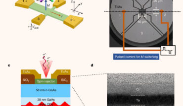 Structure of SOT spin-LED: controlling the intensity of emitted light and charge current is the basis of transferring and processing information; by contrast, robust information storage and magnetic random-access memories are implemented using the spin of the carrier and the associated magnetization in ferromagnets; the missing link between the respective disciplines of photonics, electronics and spintronics is to modulate the circular polarization of the emitted light, rather than its intensity, by electrically controlled magnetization; Dainone et al. demonstrated that this missing link is established at room temperature and zero applied magnetic field in light-emitting diodes through the transfer of angular momentum between photons, electrons and ferromagnets. Image credit: Dainone et al., doi: 10.1038/s41586-024-07125-5.