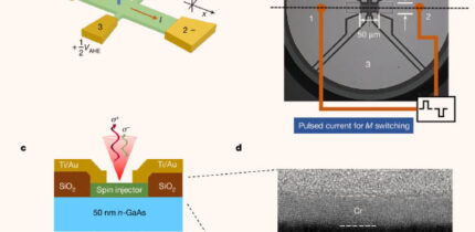 Structure of SOT spin-LED: controlling the intensity of emitted light and charge current is the basis of transferring and processing information; by contrast, robust information storage and magnetic random-access memories are implemented using the spin of the carrier and the associated magnetization in ferromagnets; the missing link between the respective disciplines of photonics, electronics and spintronics is to modulate the circular polarization of the emitted light, rather than its intensity, by electrically controlled magnetization; Dainone et al. demonstrated that this missing link is established at room temperature and zero applied magnetic field in light-emitting diodes through the transfer of angular momentum between photons, electrons and ferromagnets. Image credit: Dainone et al., doi: 10.1038/s41586-024-07125-5.