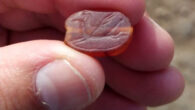 The 2,800-year-old amulet-seal from the site of Tel Rekhesh, Israel. Image credit: Israel Antiquities Authority.