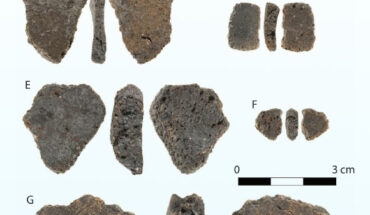 Ceramic fragments found on Jiigurru, northeast Australia. Image credit: Steve Morton.