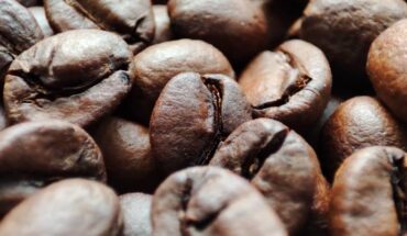 Coffea arabica. Image credit: Sci.News.