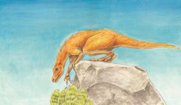 An artist’s impression of Dornraptor normani. Image credit: Megan Williams.