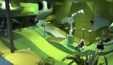 Schneiders et al. suggest it takes more than a carefully designed robot to care for your cat, the environment in which they operate is also vital, as well as human interaction. Image credit: Schneiders et al., doi: 10.1145/3613904.3642115.