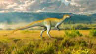 An artist’s impression of Chakisaurus nekul. Image credit: Sci.News / UnexpectedDinoLesson / CC BY 4.0 Deed.