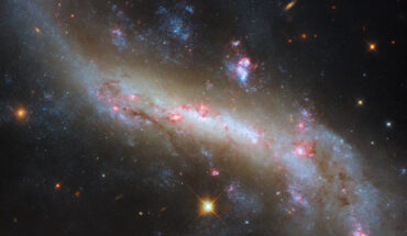 This Hubble image shows NGC 4731, a barred spiral galaxy some 43 million light-years away in the constellation of Virgo. Image credit: NASA / ESA / Hubble / D. Thilker.