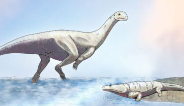 An artist’s impression of Musankwa sanyatiensis, walking in Triassic shallow waters past a metoposaur. Image credit: Atashni Moopen / Sci.News.