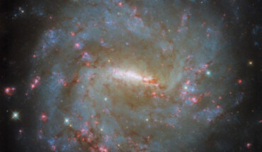 This Hubble image shows NGC 3059, a barred spiral galaxy some 57 million light-years away in the constellation of Carina. Image credit: NASA / ESA / Hubble / D. Thilker.