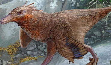 Life reconstruction of Diuqin lechiguanae. Image credit: Porfiri et al., doi: 10.1186/s12862-024-02247-w.