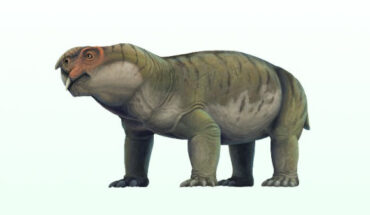 An artist’s impression of Gordonia traquairi. Image credit: Scott Reid.