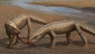 Parvosuchus aurelioi. Image credit: Matheus Fernandes.