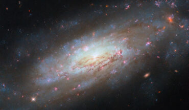 This Hubble image shows NGC 4951, a spiral galaxy around 49 million light-years away in the constellation of Virgo. Image credit: NASA / ESA / Hubble / D. Thilker / M. Zamani, ESA & Hubble.