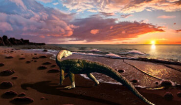Benggwigwishingasuchus eremicarminis on the Panthalassan Ocean coast. Image credit: Jorge Gonzalez.