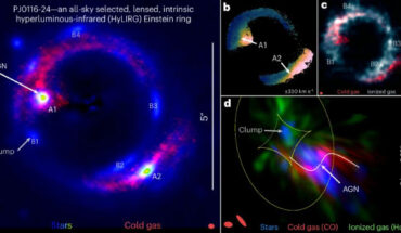 Stellar, cold-gas and ionized-gas emission distributions of the rare HyLIRG Einstein ring, PJ0116-24. Image credit: Liu et al., doi: 10.1038/s41550-024-02296-7.