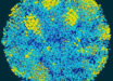 Ice nucleation in a water nanodroplet at 180 K (minus 93.15 degrees Celsius, or minus 135.76 degrees Fahrenheit). Image credit: G. Sun & H. Tanaka, doi: 10.1038/s41467-024-50188-1.