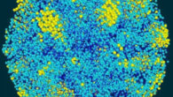 Ice nucleation in a water nanodroplet at 180 K (minus 93.15 degrees Celsius, or minus 135.76 degrees Fahrenheit). Image credit: G. Sun & H. Tanaka, doi: 10.1038/s41467-024-50188-1.