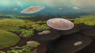 An artist’s impression of the lobate macrofossils living 2.1 billion years ago in a shallow marine inland sea created by the collision of two continents. Image credit: Abderrazzak El Albani, University of Poitiers.