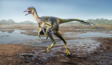 Life reconstruction of Hypnovenator matsubaraetoheorum. Image credit: Masato Hattori.