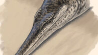 An artist’s impression of Enalioetes schroederi. Image credit: Joschua Knüppe.