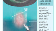 Several animal species use tools for foraging; however, very few manufacture and/or modify those tools. Humpback whales, which manufacture bubble-net tools while foraging, are among these rare species. Using animal-borne tag and unoccupied aerial system technologies, Szabo et al. examine bubble-nets manufactured by solitary humpback whales (Megaptera novaeangliae) in Southeast Alaska while feeding on krill. They demonstrate that the nets consist of internally tangential rings and suggest that whales actively control the number of rings in a net, net size and depth and the horizontal spacing between neighboring bubbles. They argue that whales regulate these net structural elements to increase per-lunge prey intake by, on average, sevenfold. Image credit: Szabo et al., doi: 10.1098/rsos.240328.