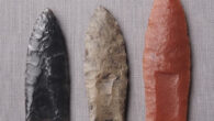 Clovis points with distinctive flute or channel flake scars. Image credit: S. Byram.