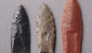 Clovis points with distinctive flute or channel flake scars. Image credit: S. Byram.