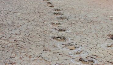 A long ornithopod trackway at Passagem das Pedra, Sousa Basin preserved in floodplain deposits of Lower Cretaceous. Image credit: Ismar de Souza Carvalho / SMU.