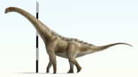 An artist’s reconstruction of Qunkasaura pintiquiniestra. Image credit: José Antonio Peñas Artero.