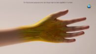 Illustration of a human hand as it might appear if the new tissue transparency effect proves effective in humans. Currently, the effect has only been tested with animals in a laboratory setting. Note that dyes may be harmful. Always exercise caution with dyes and do not consume directly, apply to people or animals, or otherwise misuse. Image credit: Keyi ‘Onyx’ Li / U.S. National Science Foundation.