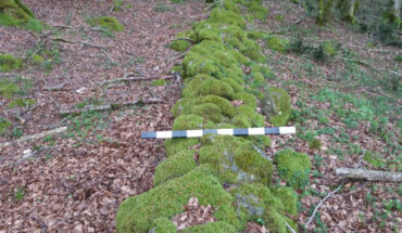 The 2,070-year-old Roman wall in the Dossone della Melia forest in south-central Calabria, Italy. Image credit: University of Kentucky.