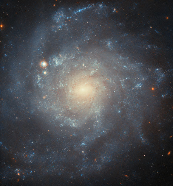 In this image of the barred spiral galaxy NGC 5668, Hubble was used to examine the surroundings of the Type II supernova event labeled SN 2004G, seeking to study the kinds of stars that end their lives as this kind of supernova. The color image is composed of near-infrared and optical observations from Hubble’s Advanced Camera for Surveys (ACS). Two filters were used to sample various wavelengths. The color results from assigning different hues to each monochromatic image associated with an individual filter. Image credit: NASA / ESA / Hubble / C. Kilpatrick.
