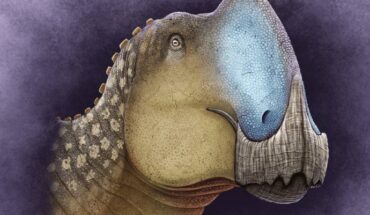 Life reconstruction of Coahuilasaurus lipani. Image credit: C. Díaz Frías.