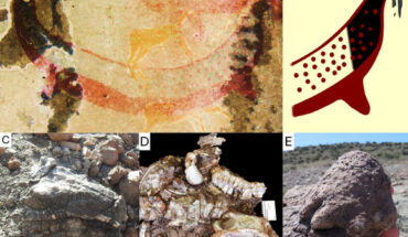 Interpretation of the tusked animal of the Horned Serpent panel and its dicynodont-like traits. Image credit: J. Benoit, doi: 10.1371/journal.pone.0309908.