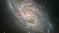 This Hubble image shows IC 1954, a small barred spiral galaxy located 45 million light-years away in the constellation of Horologium. Image credit: NASA / ESA / Hubble / D. Thilker / J. Lee / PHANGS-HST Team.