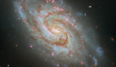 This Hubble image shows IC 1954, a small barred spiral galaxy located 45 million light-years away in the constellation of Horologium. Image credit: NASA / ESA / Hubble / D. Thilker / J. Lee / PHANGS-HST Team.