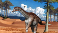 Campananeyen fragilissimus. Image credit: Fundación Azara.