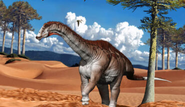 Campananeyen fragilissimus. Image credit: Fundación Azara.