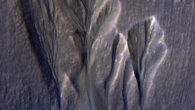 The white edges along these gullies in Mars’ Terra Sirenum are believed to be dusty water ice. Khuller et al. think meltwater could form beneath the surface of this kind of ice, providing a place for possible photosynthesis. Image credit: NASA / JPL-Caltech / University of Arizona.