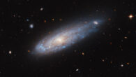 This Hubble image shows the ram pressure-stripped spiral galaxy IC 3225. Image credit: NASA / ESA / Hubble / M. Sun.